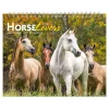 2025 BrownTrout Horse Lovers 7.5" x 6" Monthly Desk Calendar (9781975478476)