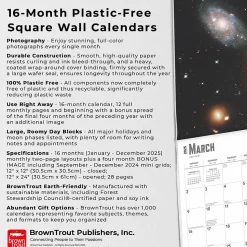 2025 BrownTrout Hubble Space Telescope 12