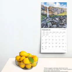 2025 BrownTrout Iceland 12