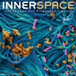 2025 BrownTrout Innerspace 12" x 12" Monthly Square Wall Calendar (9781975481438)
