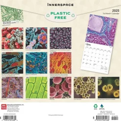 2025 BrownTrout Innerspace 12" x 12" Monthly Square Wall Calendar (9781975481438)