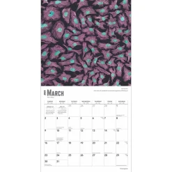 2025 BrownTrout Innerspace 12