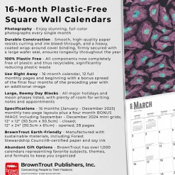 2025 BrownTrout Innerspace 12