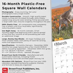 2025 BrownTrout Italian Greyhounds 12