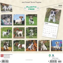 2025 BrownTrout Jack Russell Terrier Puppies 12" x 12" Monthly Wall Calendar (9781975477226)