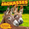 2025 BrownTrout Jackasses 12" x 12" Monthly Wall Calendar (9781975477240)