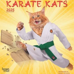 2025 BrownTrout Karate Cats 7" x 14" Monthly Mini Wall Calendar, (9781975479541)