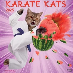 2025 BrownTrout Karate Cats 12" x 24" Monthly Square Wall Calendar, (9781975479831)