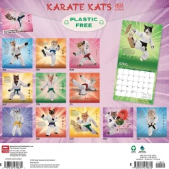 2025 BrownTrout Karate Cats 12" x 24" Monthly Square Wall Calendar, (9781975479831)