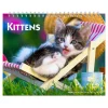 2025 BrownTrout Kittens 7.5" x 6" Monthly Desk Calendar (9781975481629)