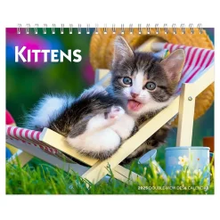 2025 BrownTrout Kittens 7.5" x 6" Monthly Desk Calendar (9781975481629)