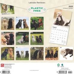 2025 BrownTrout Labrador Retrievers 12" x 12" Monthly Wall Calendar (9781975477332)