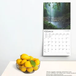 2025 BrownTrout Magic Places 12