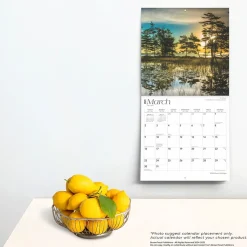 2025 BrownTrout Michigan Wild & Scenic 12