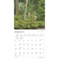 2025 BrownTrout Montana Wild & Scenic 12