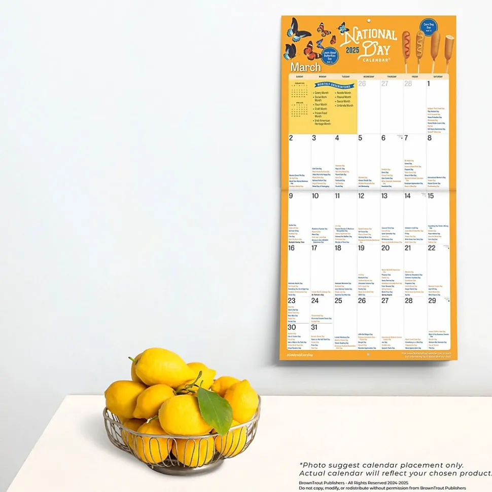 2025 BrownTrout National Day 12" x 12" Monthly Square Wall Calendar (9781975479985)