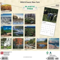 2025 BrownTrout New York Wild & Scenic 12" x 24" Monthly Square Wall Calendar (9781975475437)