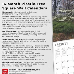 2025 BrownTrout New York Wild & Scenic 12