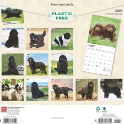 2025 BrownTrout Newfoundlands 12" x 12" Monthly Wall Calendar (9781975477479)