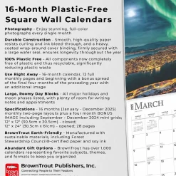 2025 BrownTrout Norway 12