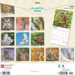 2025 BrownTrout Owls 12" x 12" Monthly Wall Calendar (9781975477509)