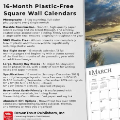 2025 BrownTrout Poland 12