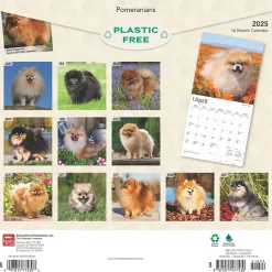 2025 BrownTrout Pomeranians 12" x 12" Monthly Wall Calendar (9781975477530)