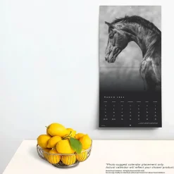 2025 BrownTrout Portrait Series: The Noble Horse 12