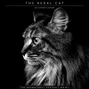 2025 BrownTrout Portrait Series: The Regal Cat 12" x 12" Monthly Wall Calendar (9781975476809)
