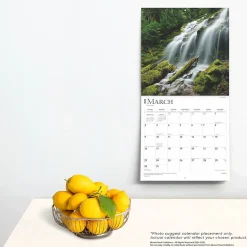 2025 BrownTrout Psalms 12