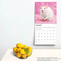 2025 BrownTrout Rats 12