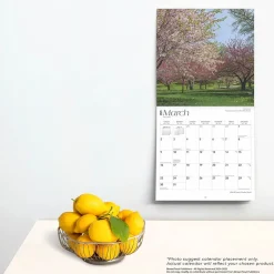 2025 BrownTrout Rhode Island Wild & Scenic 12