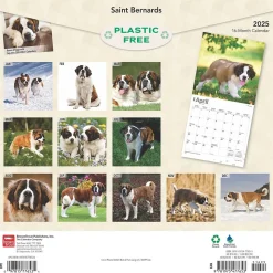 2025 BrownTrout Saint Bernards 12" x 24" Monthly Square Wall Calendar (9781975477653)