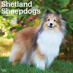 2025 BrownTrout Shetland Sheepdogs 12" x 24" Monthly Square Wall Calendar, (9781975477721)