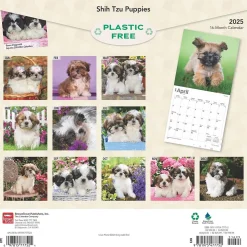 2025 BrownTrout Shih Tzu Puppies 12" x 24" Monthly Square Wall Calendar, (9781975477752)
