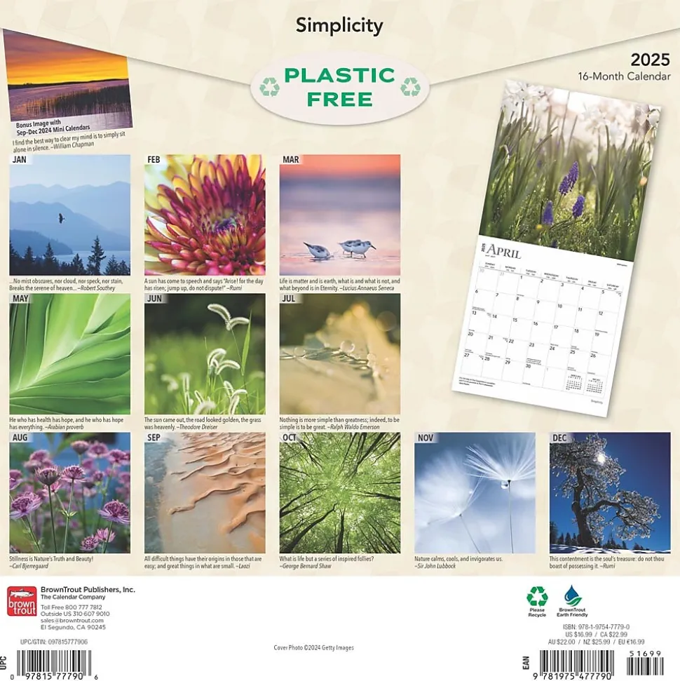 2025 BrownTrout Simplicity 12" x 24" Monthly Square Wall Calendar, (9781975477790)