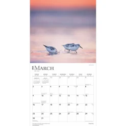 2025 BrownTrout Simplicity 12