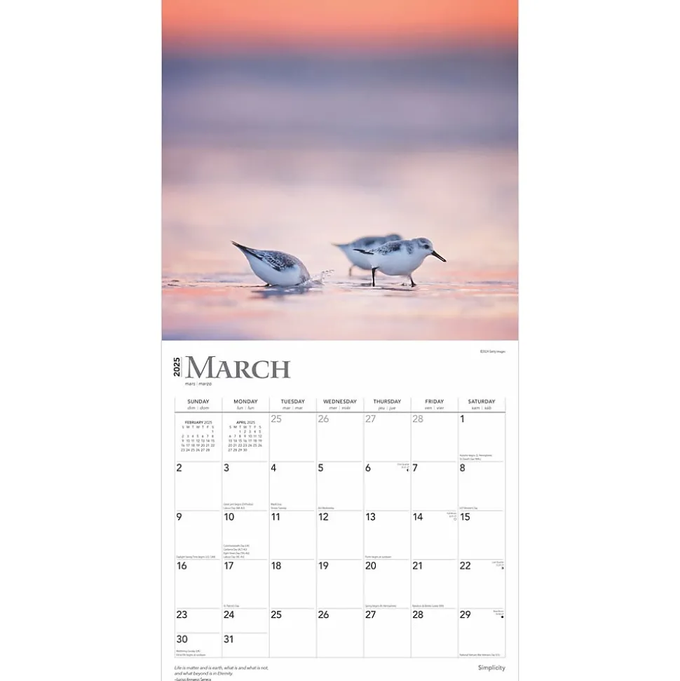 2025 BrownTrout Simplicity 12" x 24" Monthly Square Wall Calendar, (9781975477790)