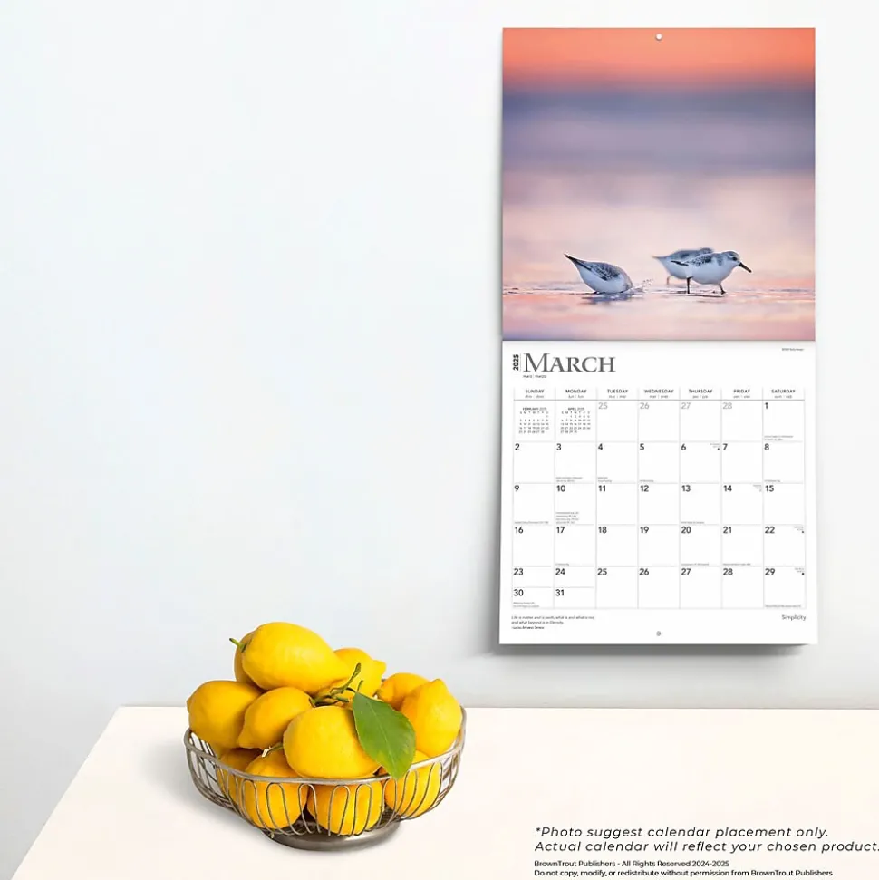 2025 BrownTrout Simplicity 12" x 24" Monthly Square Wall Calendar, (9781975477790)