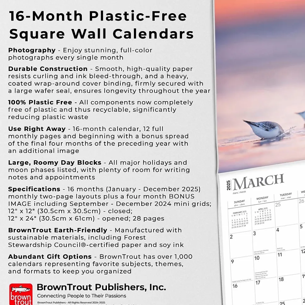 2025 BrownTrout Simplicity 12" x 24" Monthly Square Wall Calendar, (9781975477790)