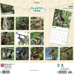 2025 BrownTrout Sloths 12" x 12" Monthly Square Wall Calendar (9781975475703)