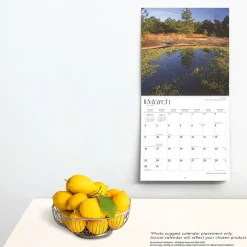 2025 BrownTrout South Carolina Wild & Scenic 12