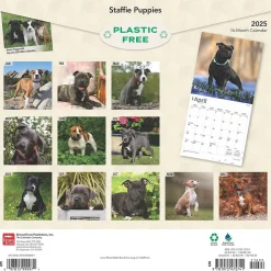2025 BrownTrout Staffordshire Bull Terriers Puppies 12" x 12" Monthly Square Wall Calendar (9781975475741)