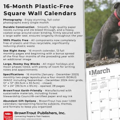 2025 BrownTrout Staffordshire Bull Terriers Puppies 12