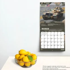 2025 BrownTrout Tanks of the World 12