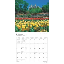 2025 BrownTrout Tar Heel State North Carolina Places 12