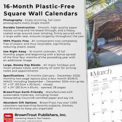 2025 BrownTrout The Majesty of New England 12