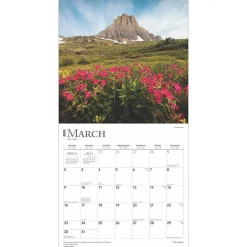 2025 BrownTrout Tranquility 12