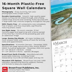 2025 BrownTrout Tropical Islands 12