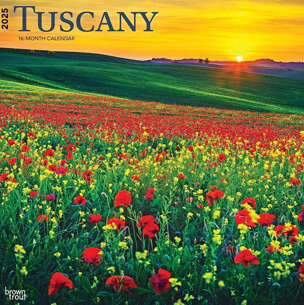2025 BrownTrout Tuscany 12" x 12" Monthly Wall Calendar (9781975476298)